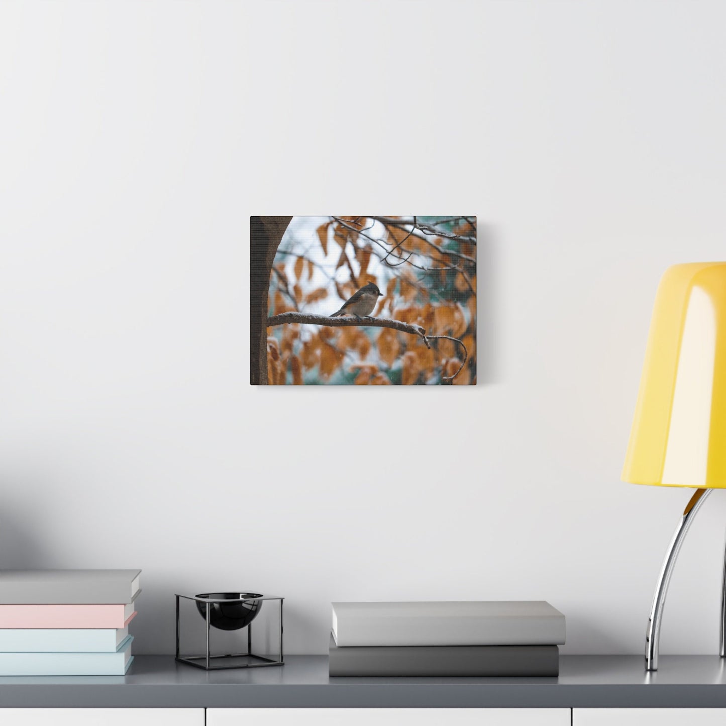 Birds, Cute Bird Pictures, Bird Lover Gift, Little Bird Photos, Nature Canvas, Nature Wall Art, Wildlife Photography, Nature Home Decor
