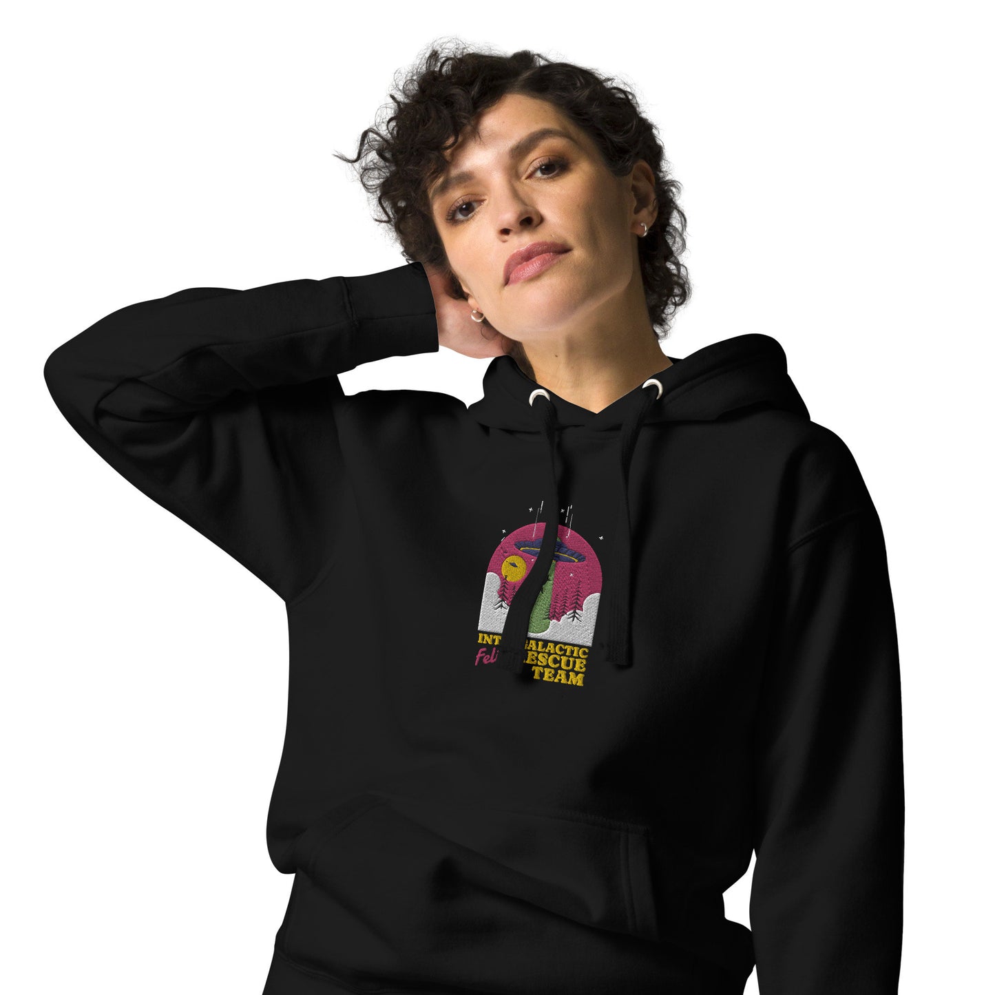 Space Cat, Feline Rescue, UFO Kitty, Animal Rescue Sweatshirt, Embroidered Cat Hoodie, Embroidered Alien Hoodie, Black Cat, Cat Lover Hoodie