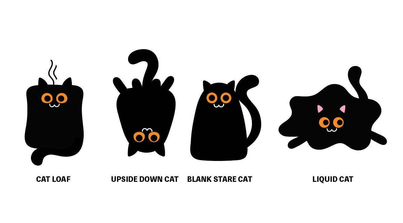 Cat Sticker Sheet, Funny Cat Stickers, Lovers of Black Cats, Funny Animals, Black Cat Stickers, Holographic Cat, Scrapbooking Stickers