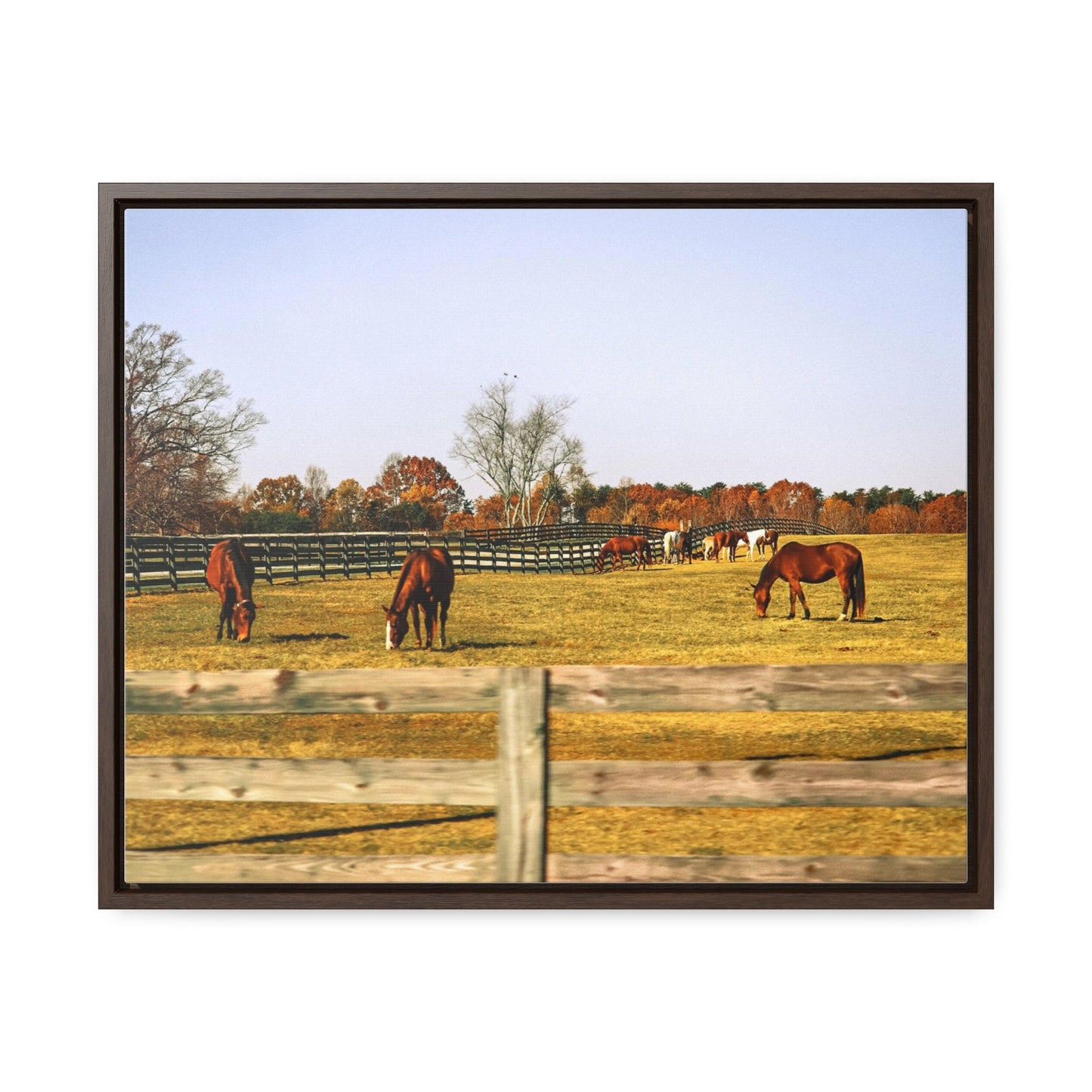 Horse Photography Canvas, Farm Landscape Photos, Autumn Barn Photo, Horizontal Fall Wall Art, Countryside Prints, Horses Home Decor