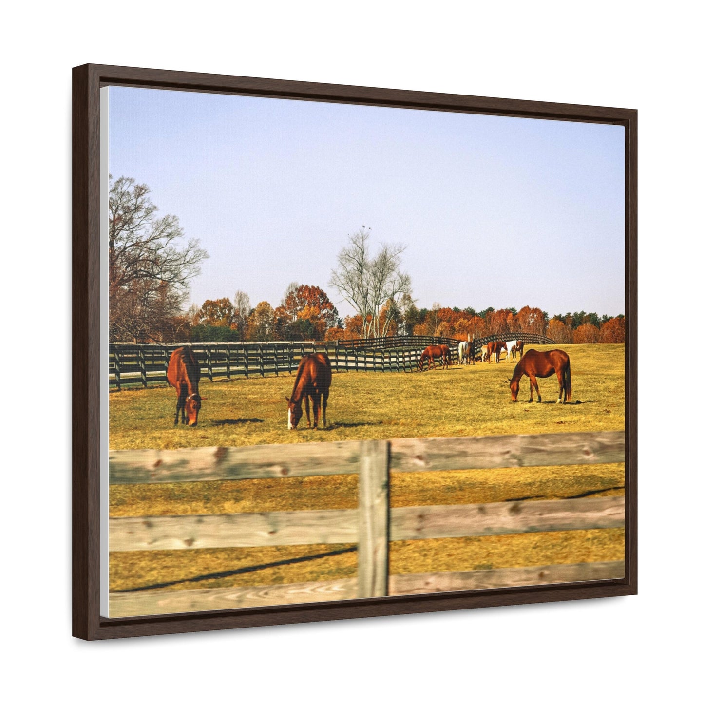 Horse Photography Canvas, Farm Landscape Photos, Autumn Barn Photo, Horizontal Fall Wall Art, Countryside Prints, Horses Home Decor